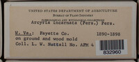 Image Associated With the Occurence